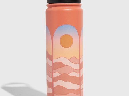 22oz Insulated Steel Bottle Online Hot Sale